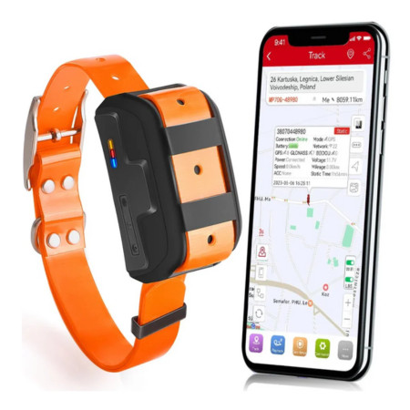 /products/collare-vhf-4g-lynx/